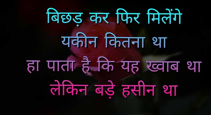 Hindi Mohabbat Status for Love