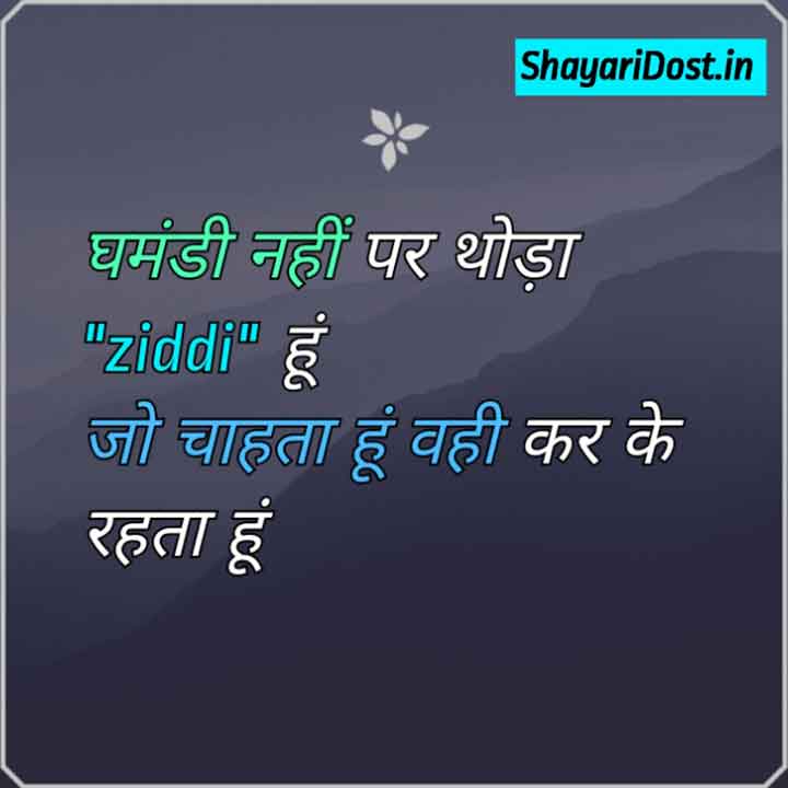 Desi Attitude Status in Hindi