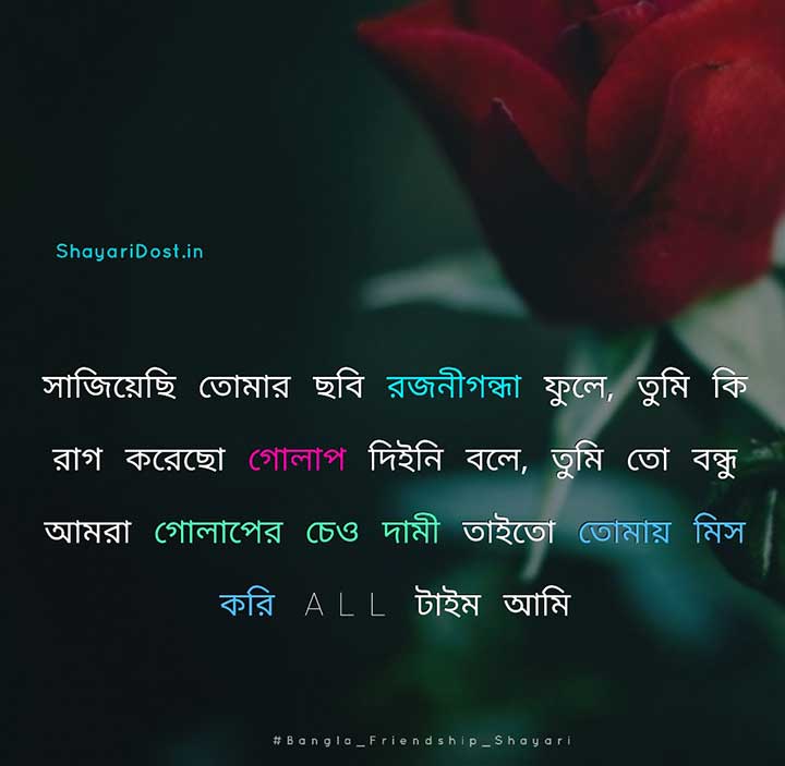 Friendship Shayari in Bengali, Bondhutter Status