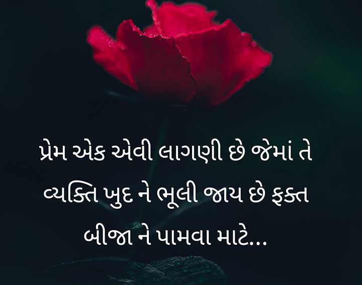 Love Shayari in Gujarati Medium