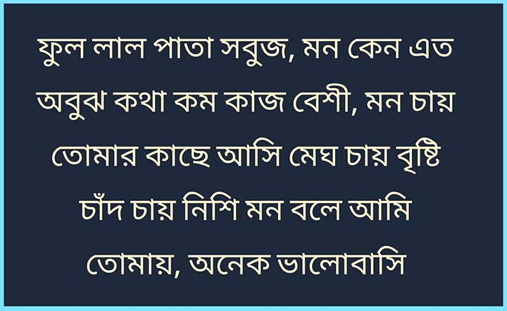 Bengali Shayari