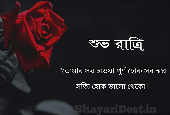 Bangla Good Night Shayari Message, Subho Ratri Sms