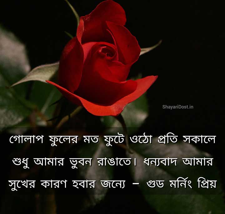 Shuvo Sokal SMS Love