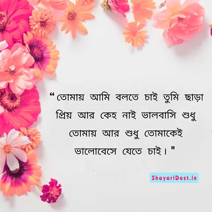 Bangla Love SMS Shayari for GF