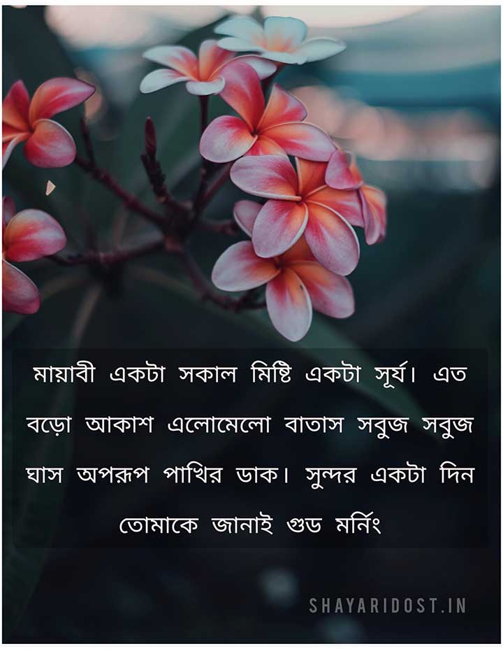 Suprovat Bangla Quotes For Love