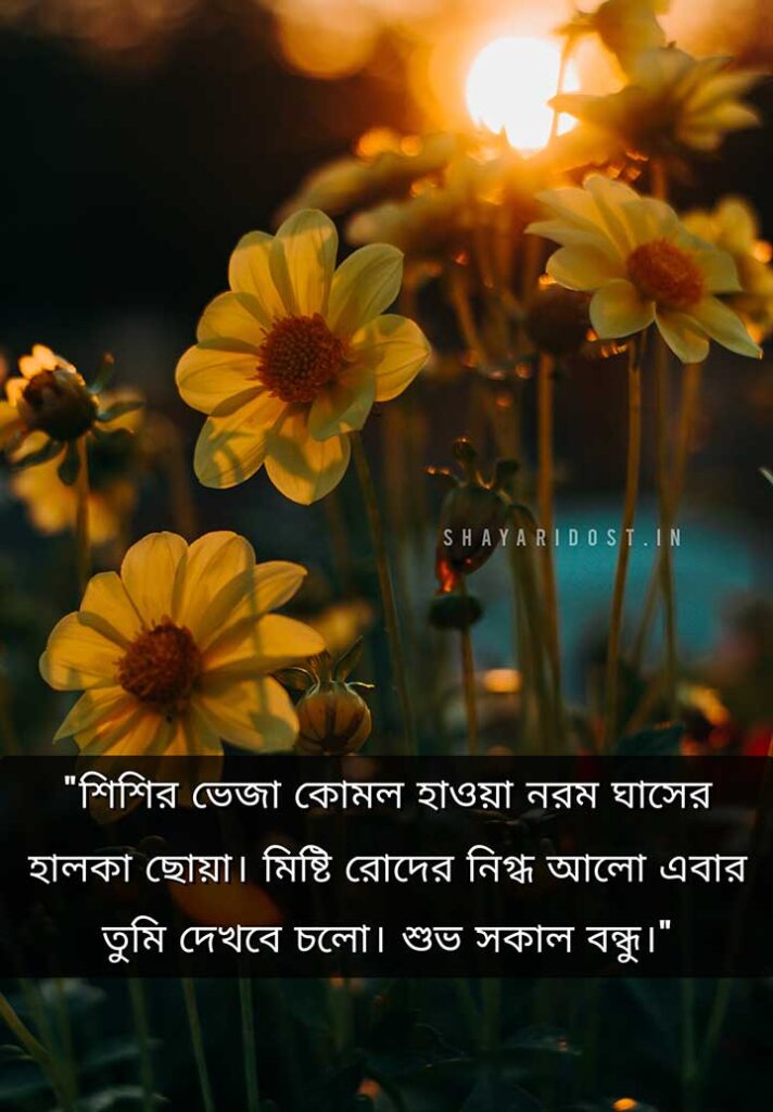 Good Morning Quotes in Bengali with Bangla Kobita Line