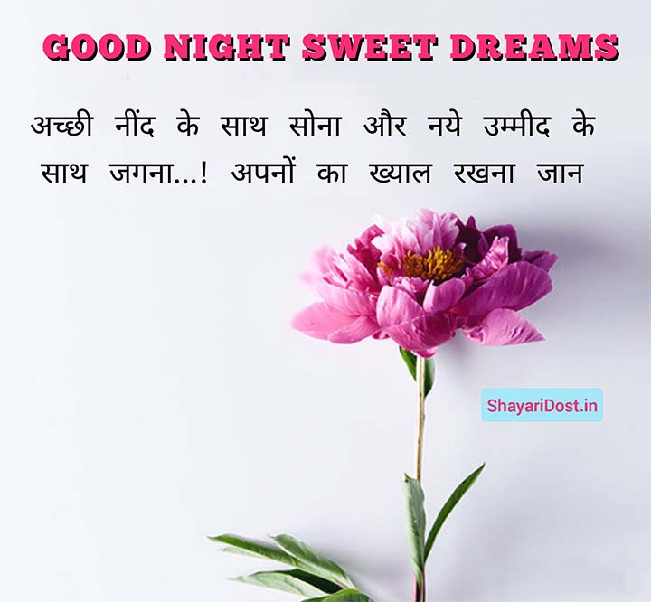 Romantic Good Night Shayari For Love in Hindi