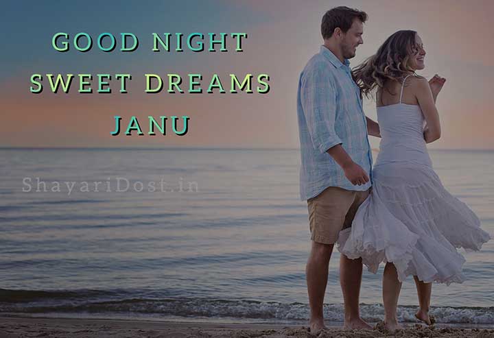 Romantic Good Night Shayari for Girlfriend