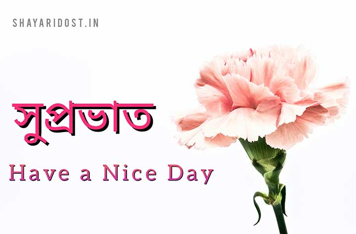 Suprovat Good Morning Quotes in Bengali