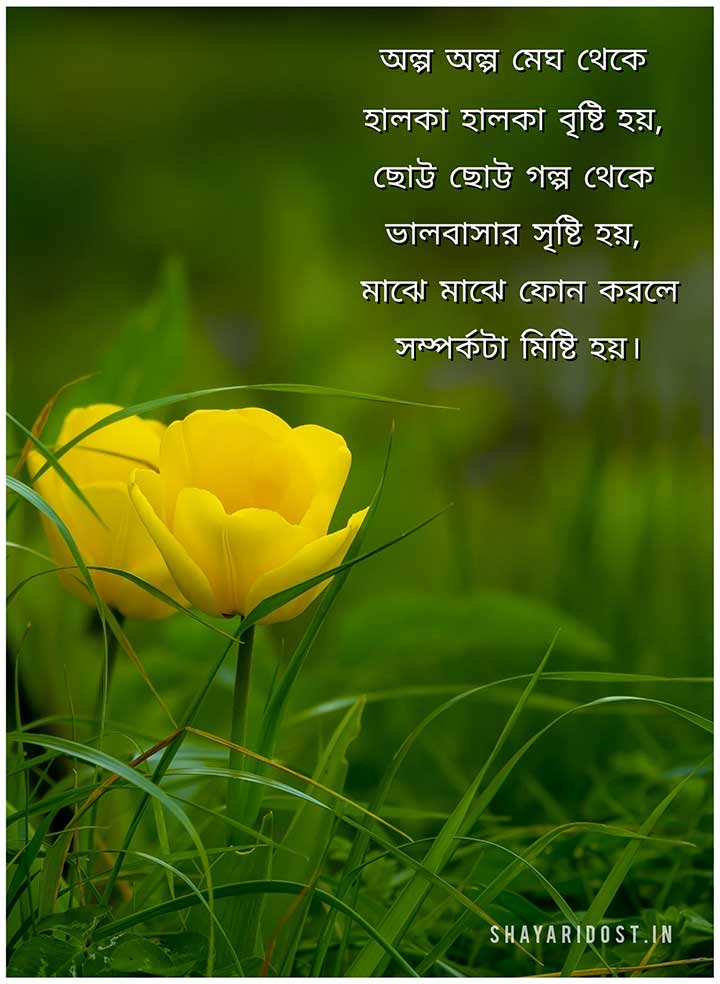 Bondhur Jonno Kobita SMS in Bengali