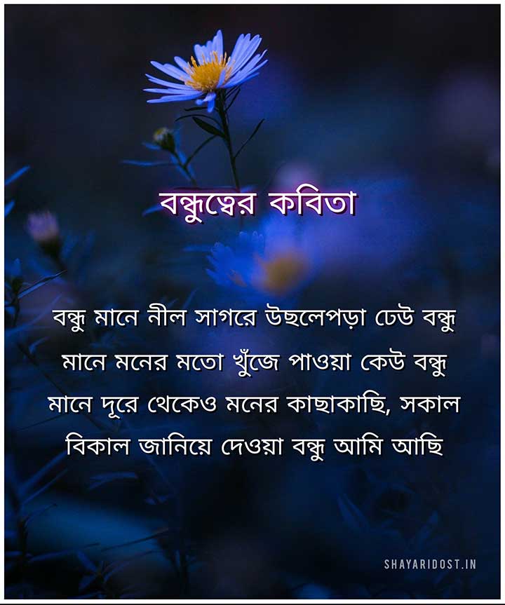 Bangla Bondhutto Kobita 
