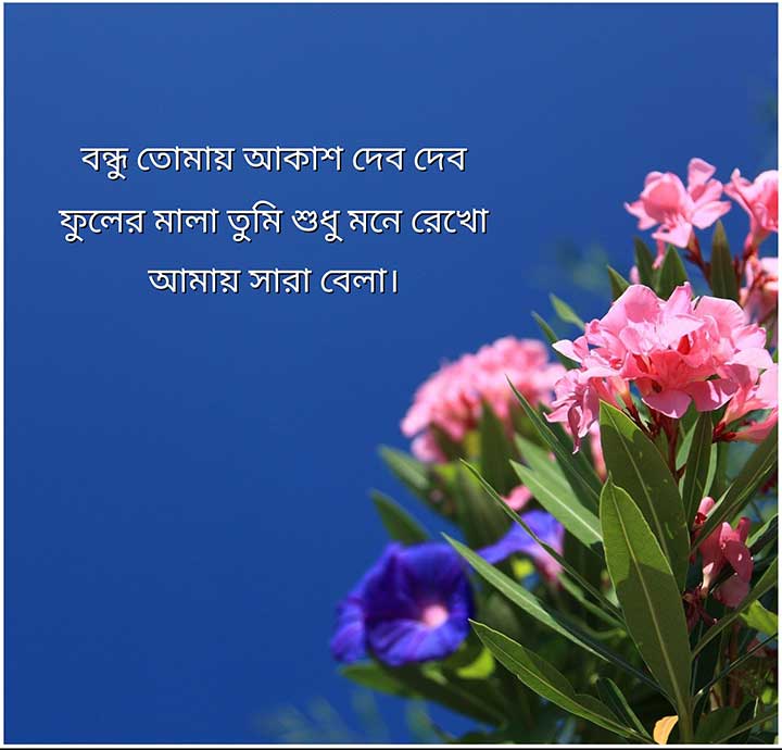 Bangla Bondhutter Kobita Line