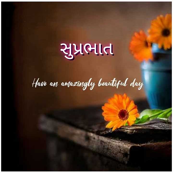 Good Morning SMS in Gujarati