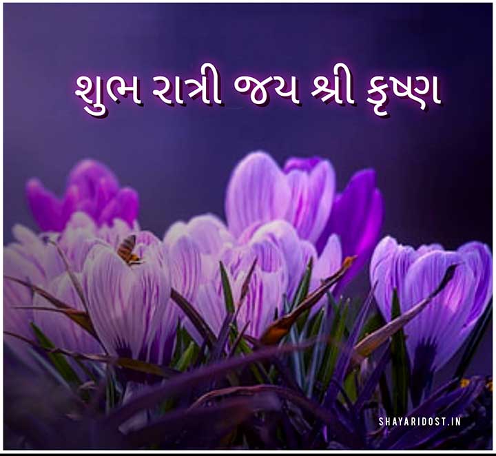 Gujarati Good Night SMS Suvichar