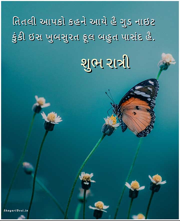 Good Night Gujarati SMS