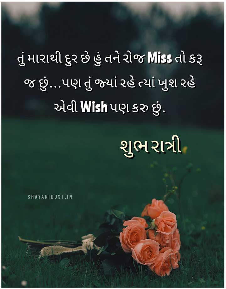 Gujarati Good Night Shayari
