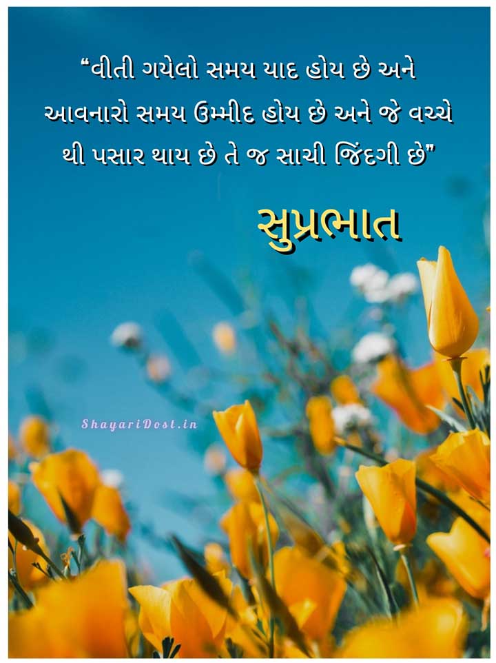 Shubh Savar Gujarati Quotes for Whatsapp Status