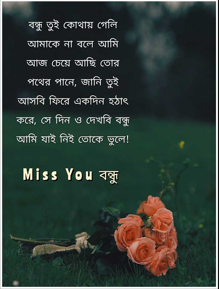 Miss You Friendship Poem in Bengali