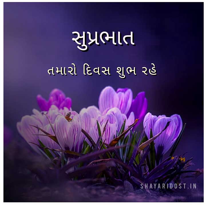 Gujarati Good Morning Quotes and SMS