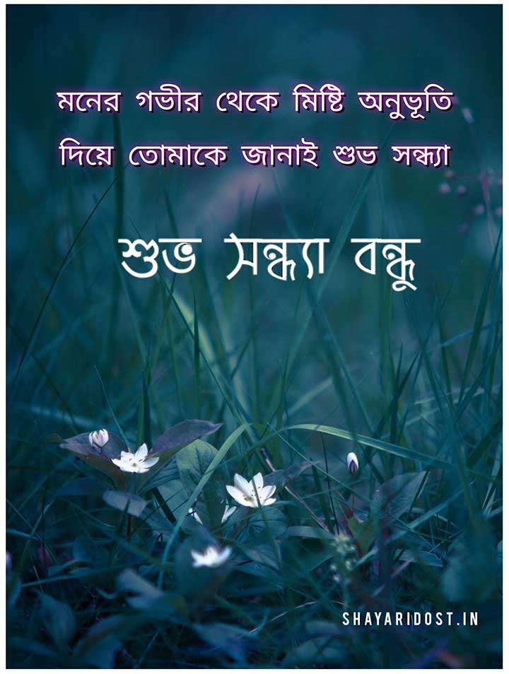 Subha Sandhya Chobi Bondhur Jonno, Good Evening Pic Bangla