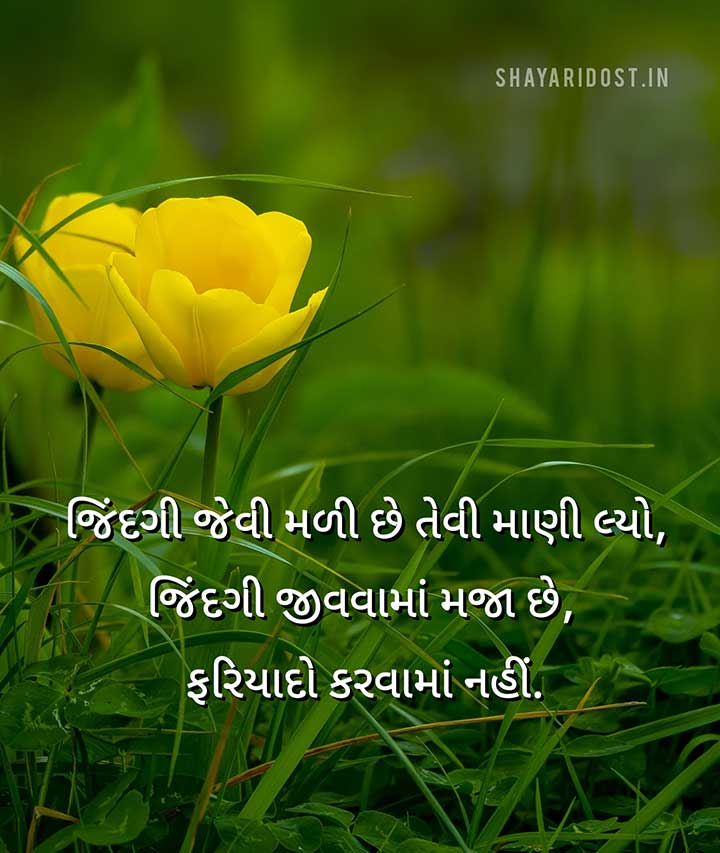 Gujarati Suvichar on Life