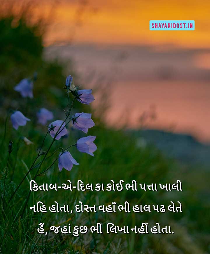 Gujarati Dosti Shayari for Best Friend