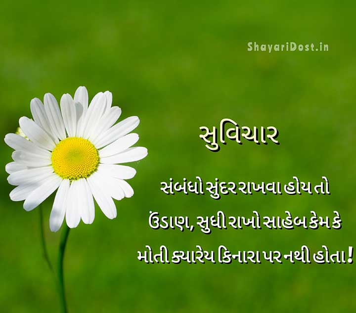 Best Gujarati Suvichar for Status
