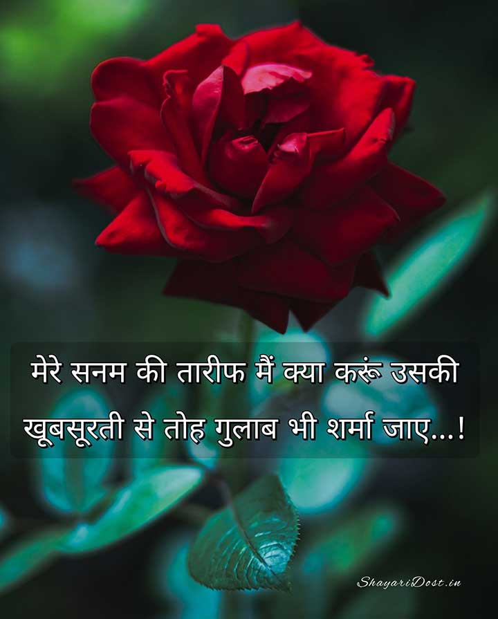 Romantic Tareef Shayari for Girl in Hindi