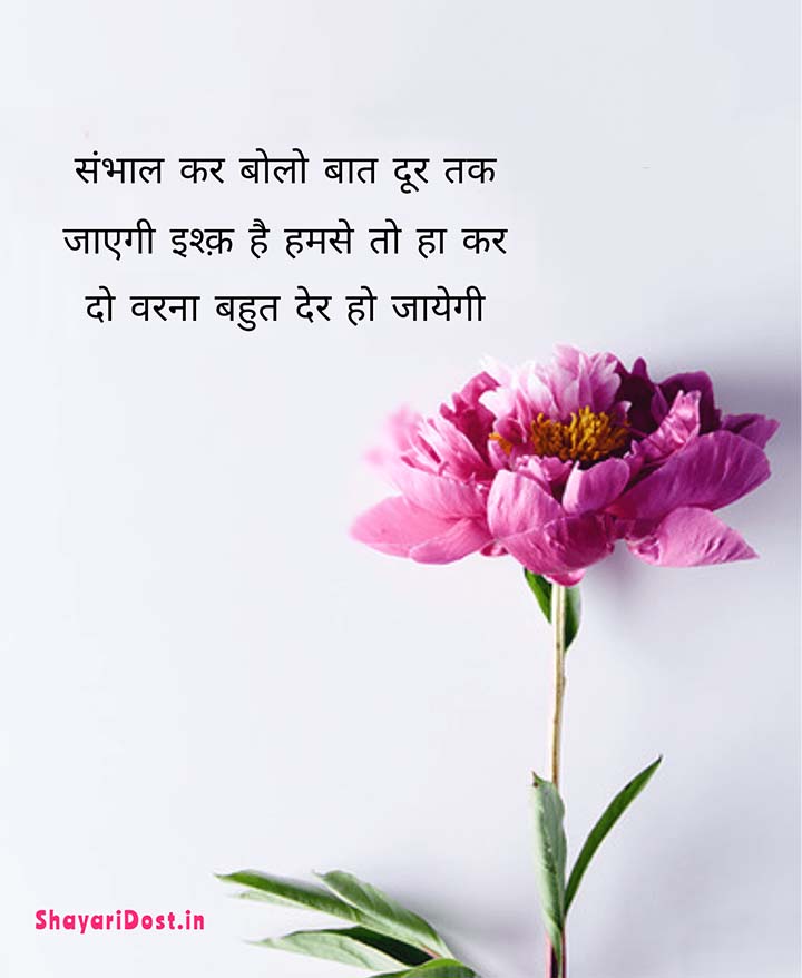 Ishq Pyar Mohabbat Shayari in Hindi Medium