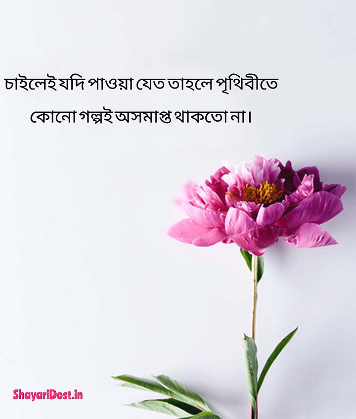 FB Profile Pic Caption Bengali