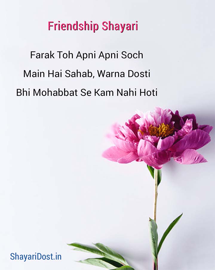 Friendship Shayari in English Font