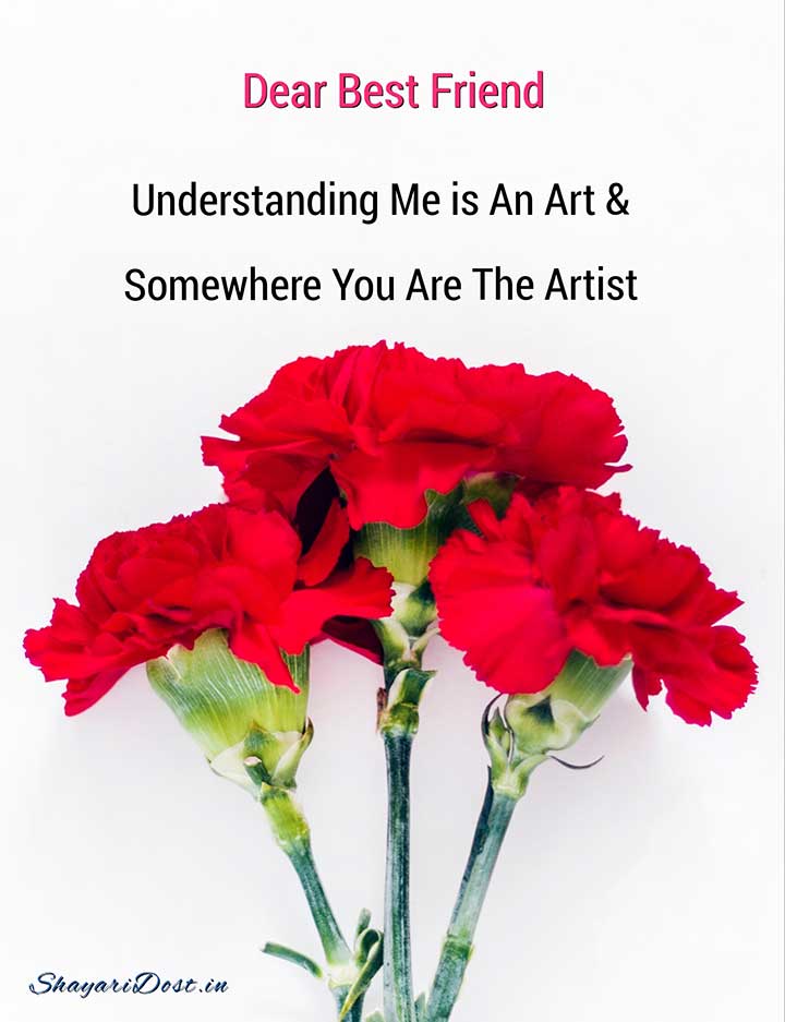 English Friendship Shayari, Dosti Shayari English Medium