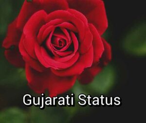 Status in Gujarati, 2 Line Attitude Status Gujarati Language