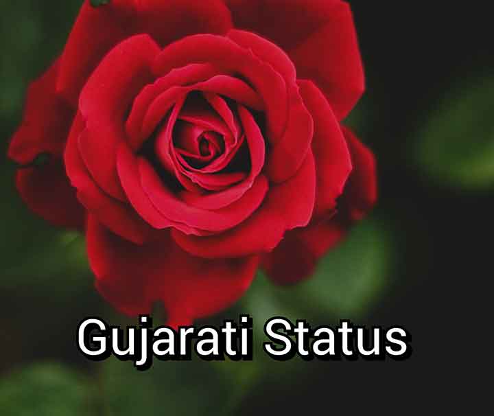 Status in Gujarati, 2 Line Attitude Status Gujarati Language