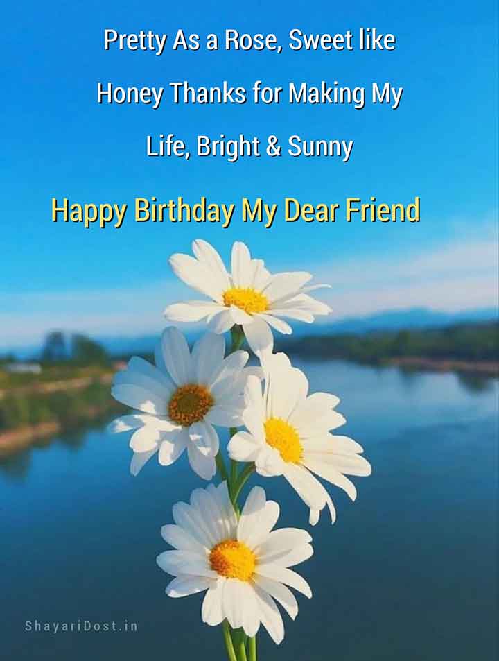 Happy Birthday Shayari in English for Best Friend