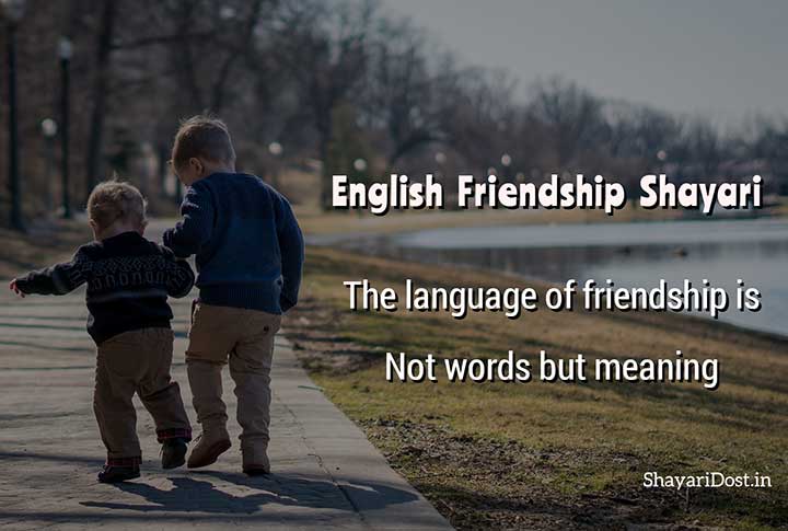 Friendship Shayari in English, Dosti Shayari English Mein