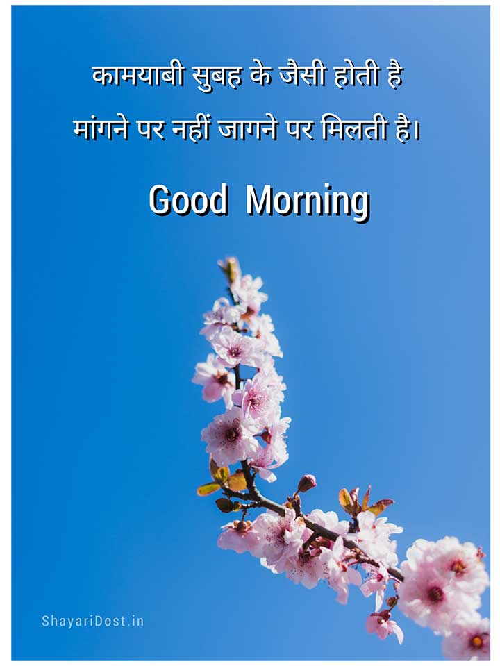 Inspirational Good Morning Shayari for Motivate your friend