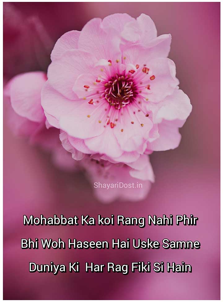 Mohabbat Love Shayari in English for Status