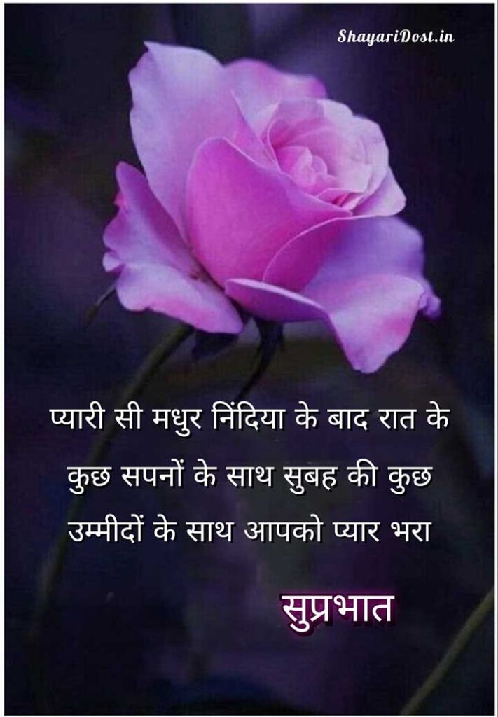 Love Good Morning Shayari with Rose for Gf