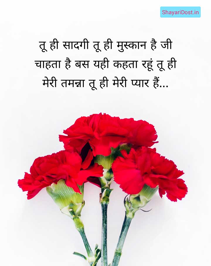 Beautiful Shayari on Love in Hindi, Love Shayari Status