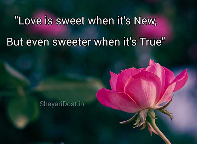 Love Shayari for Girlfriend in English