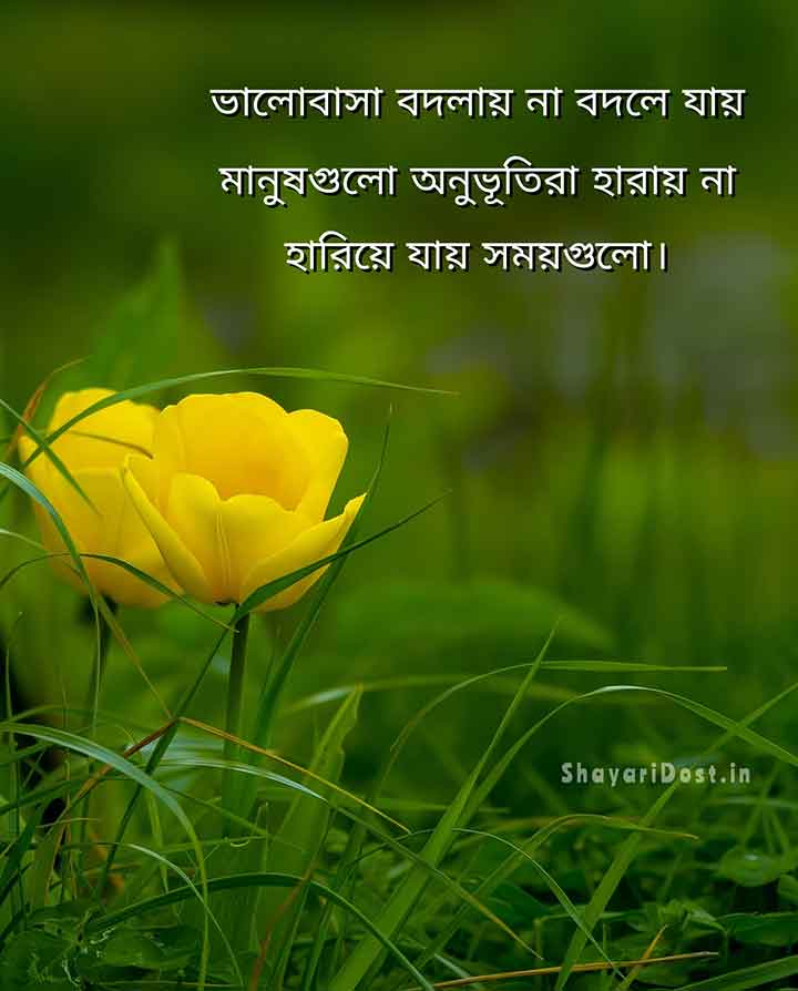 Sad Bengali WhatsApp Status