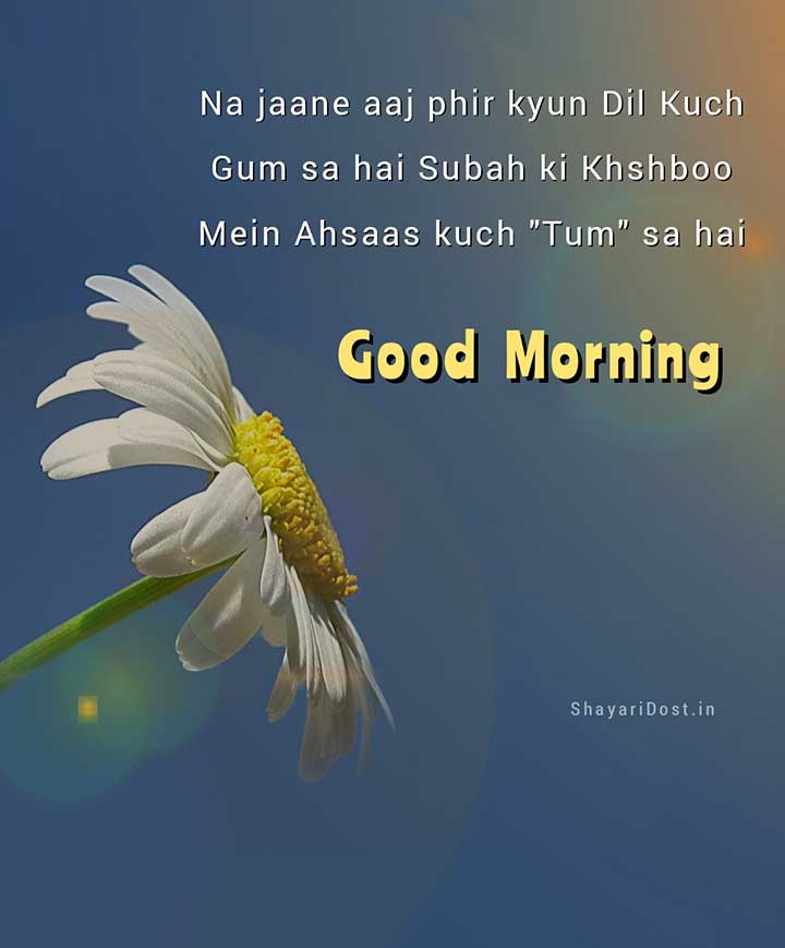 English Good Morning Shayari