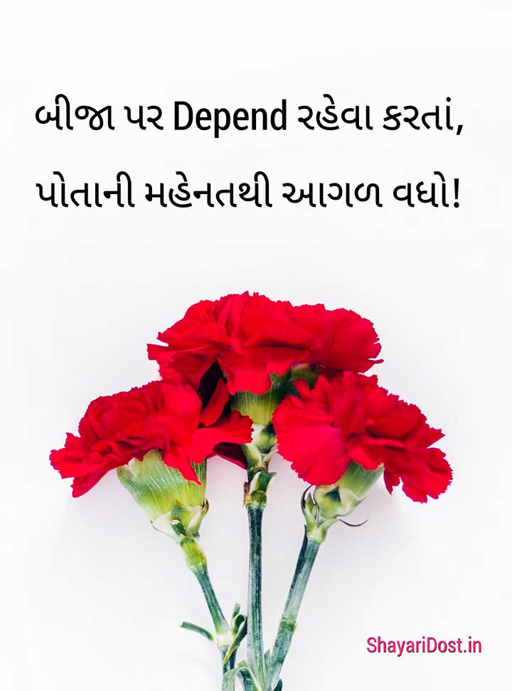 Two Line Gujarati Status about Life for Fb