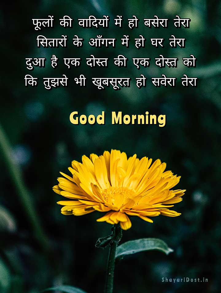 Good Morning Shayari with Flower