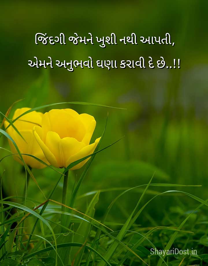 Two Line Gujarati Status