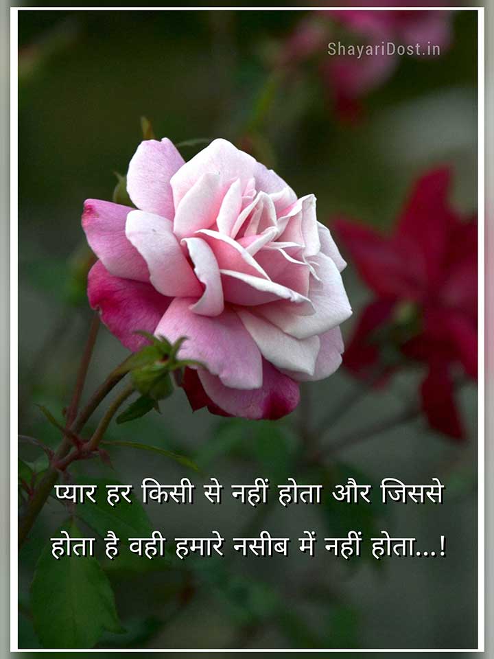 Hindi Shayari For Status