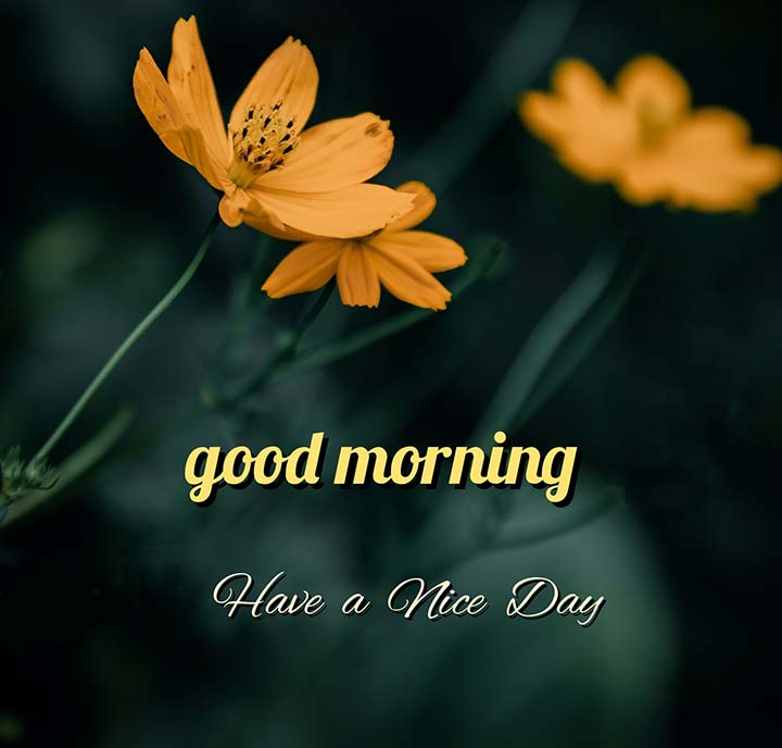 Good Morning Message in Hindi, Suprabhat Sandesh