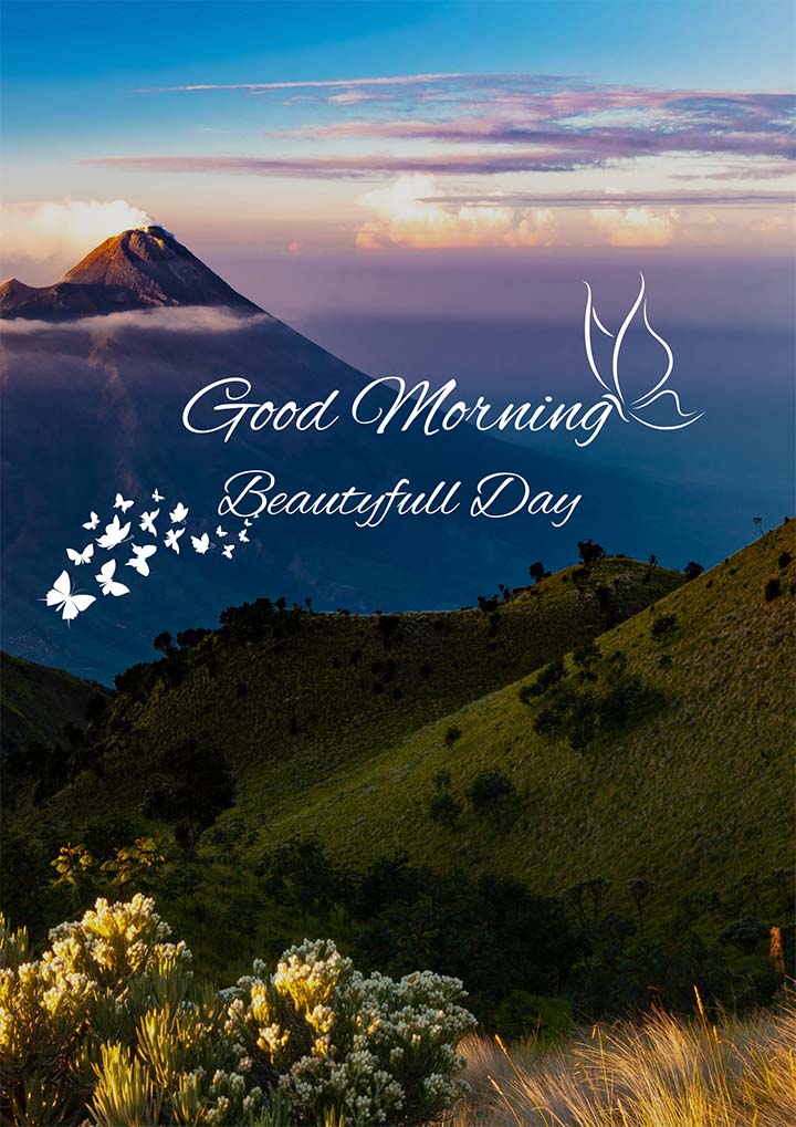 Nature Good Morning Image