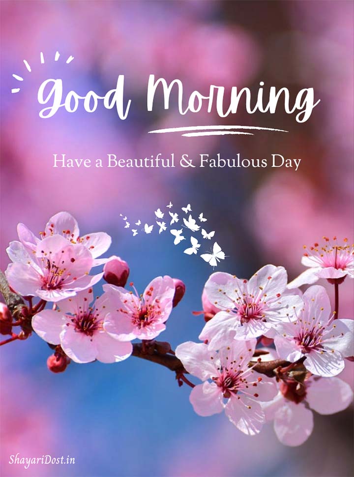 Flowers Good Morning Images